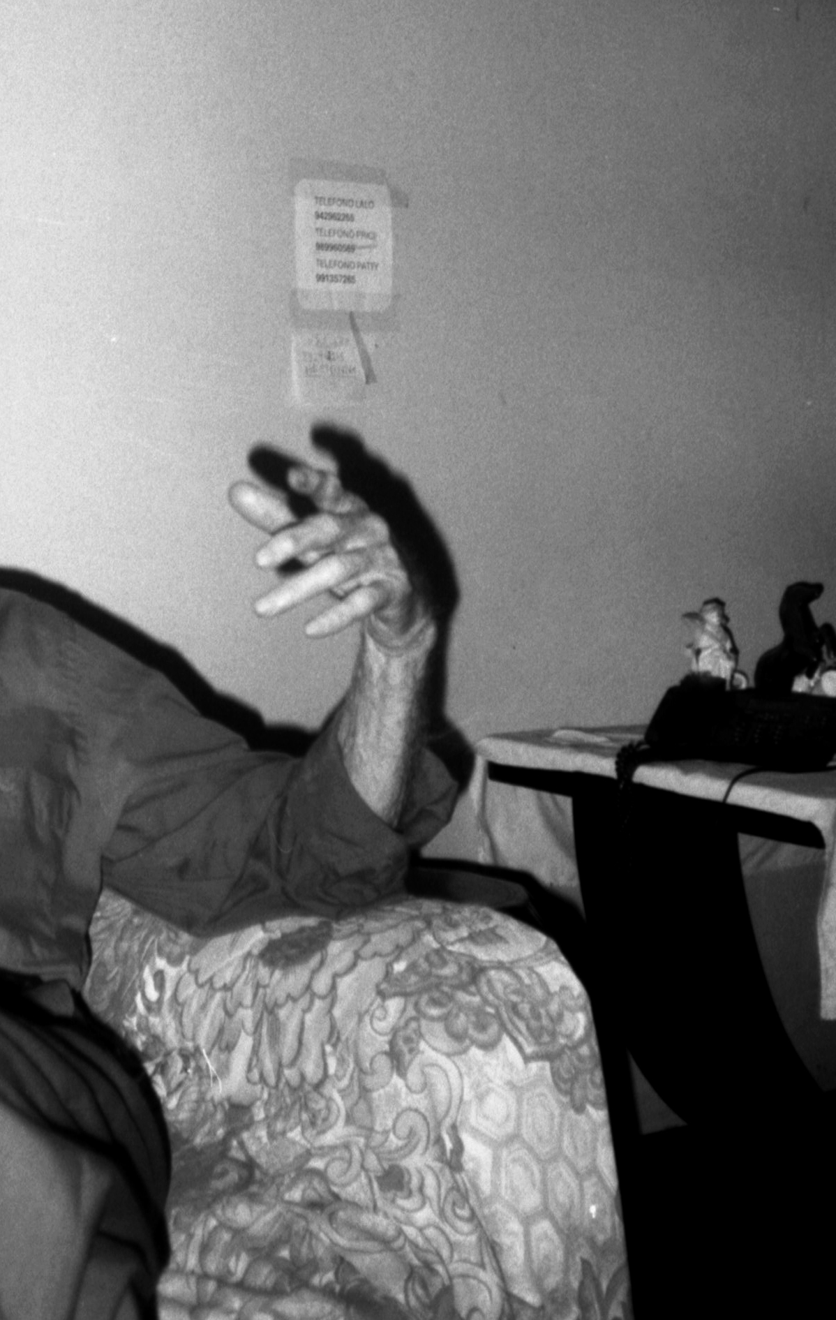 Fotografía de Valentina Segovia