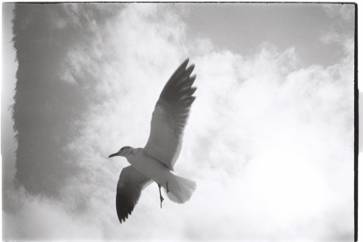 Fotografía de Ian Macías Aguilar
