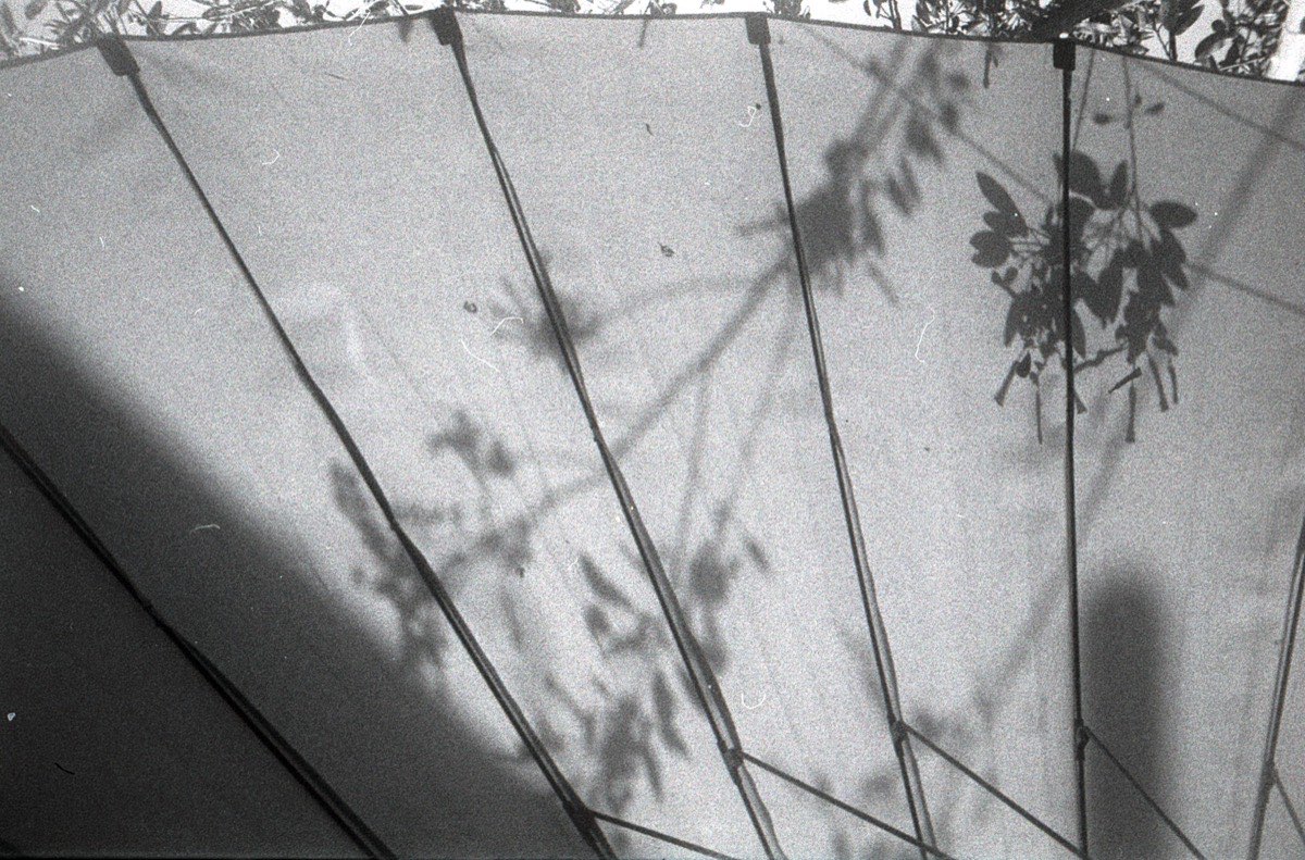 Fotografía